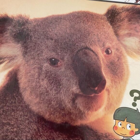 Children's Book Set Animals - Picture 3 of 16